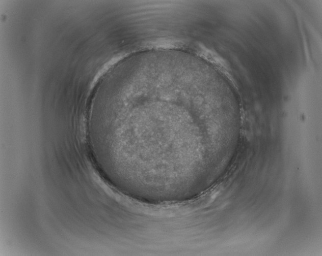 X0000071830012200607141712