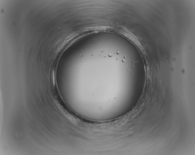 X0000071830013200607141712