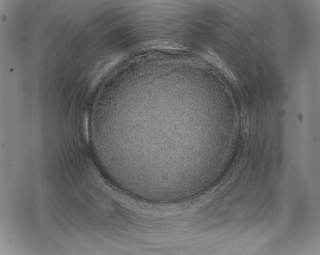 X0000071830014200607141711