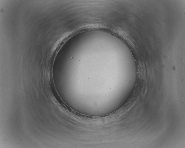 X0000071830015200607141711