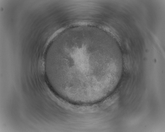 X0000071830016200607141711