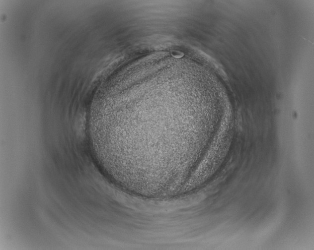 X0000071830018200607141711