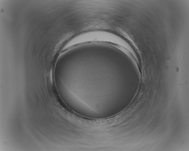 X0000071830019200607141711