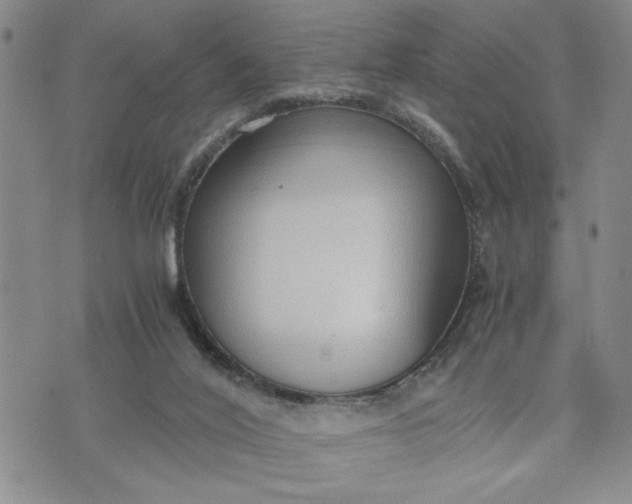 X0000071830020200607141711