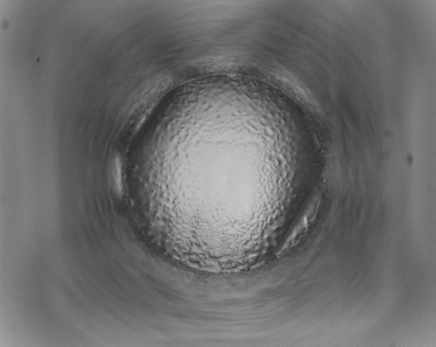 X0000071830022200607141711