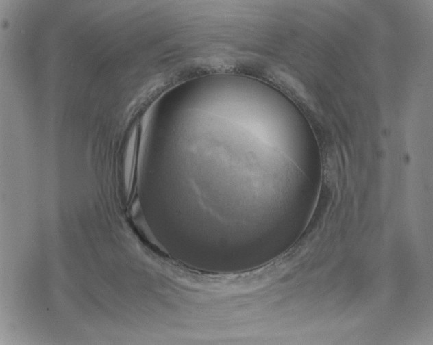 X0000071830023200607141711