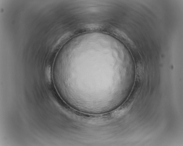 X0000071830024200607141711