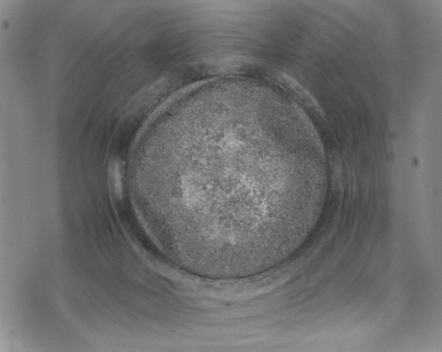 X0000071830026200607141711