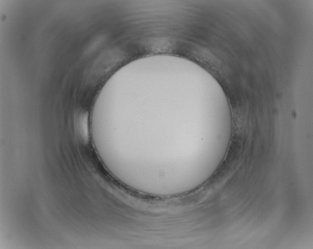 X0000071830028200607141711