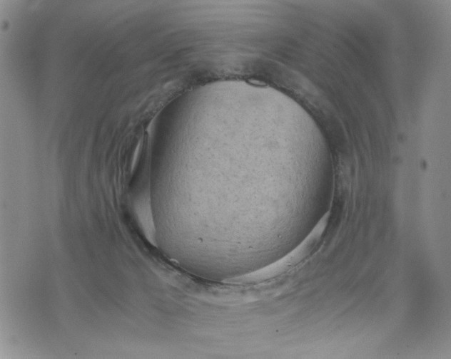 X0000071830029200607141711