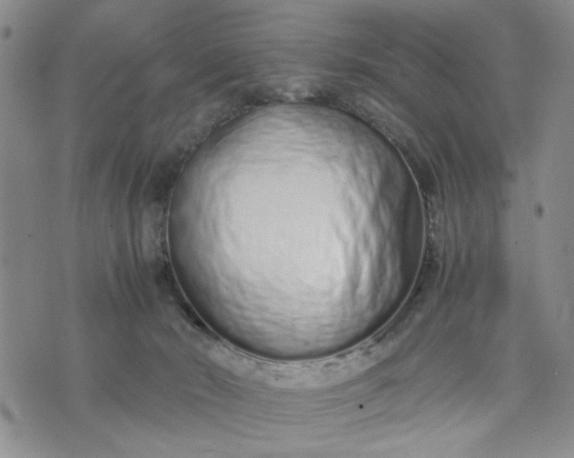 X0000071830030200607141711