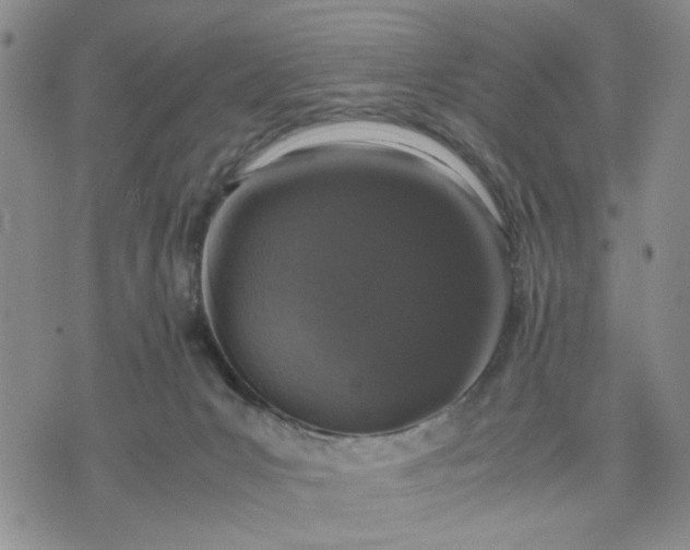 X0000071830031200607141711