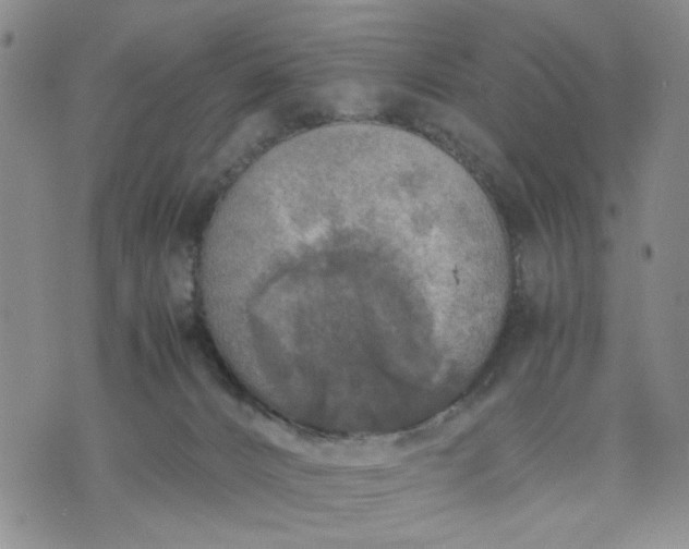 X0000071830032200607141711