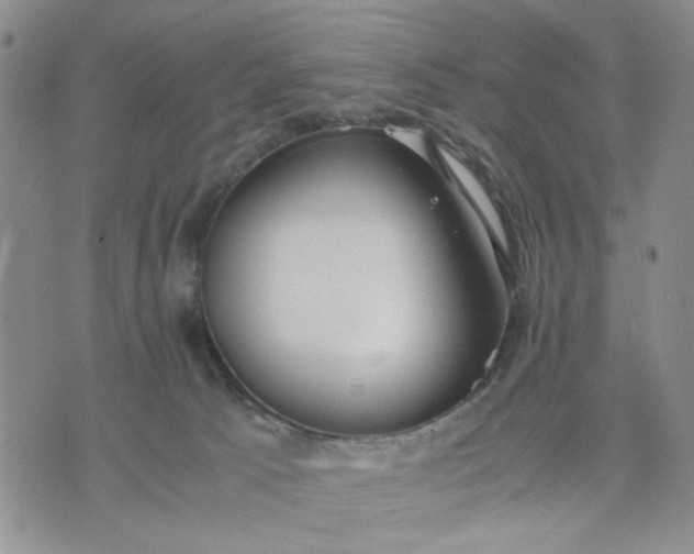 X0000071830033200607141711