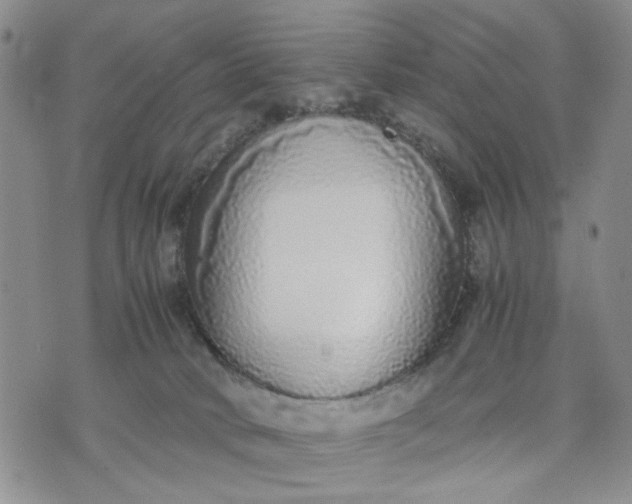 X0000071830034200607141711