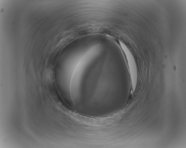 X0000071830035200607141711