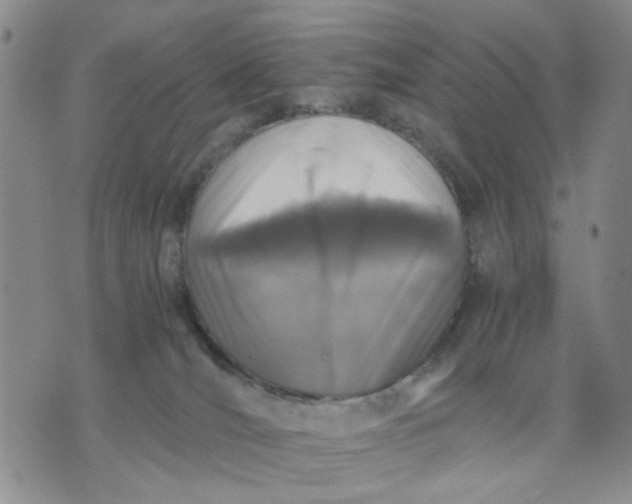 X0000071830036200607141711