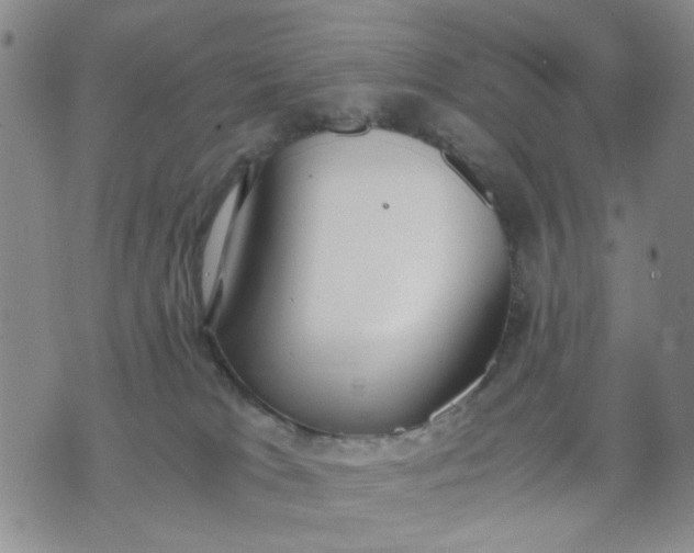 X0000071830037200607141711