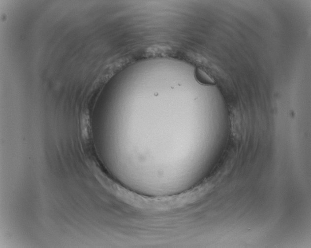 X0000071830038200607141711