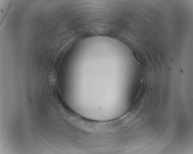 X0000071830040200607141711