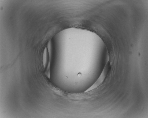 X0000071830041200607141711