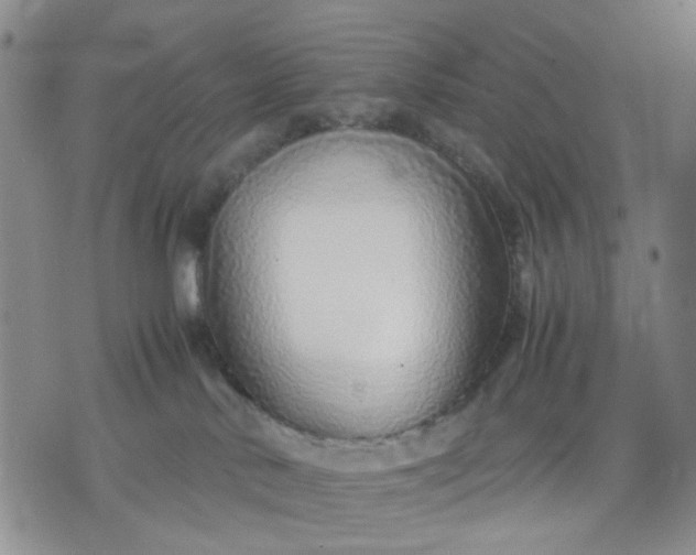 X0000071830042200607141711