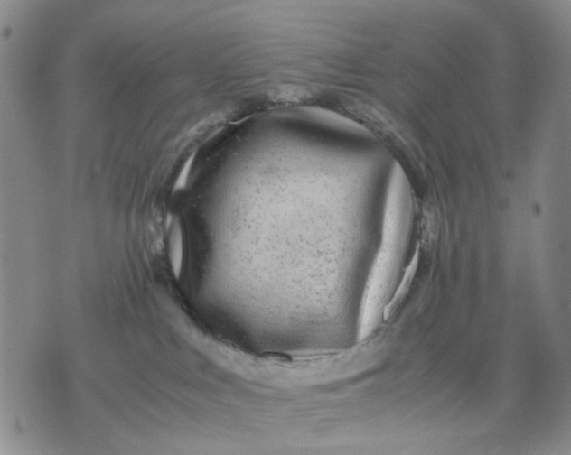 X0000071830043200607141711