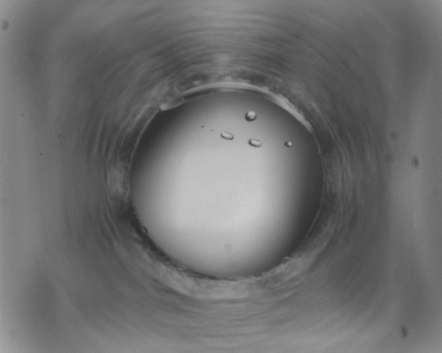 X0000071830044200607141711