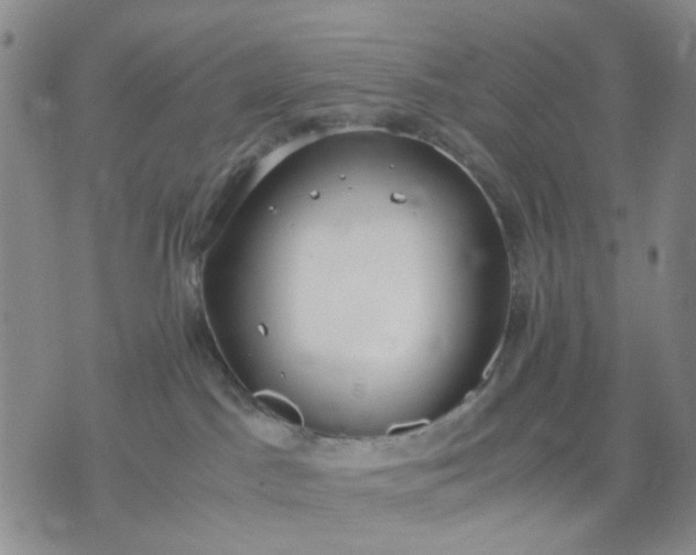 X0000071830045200607141711