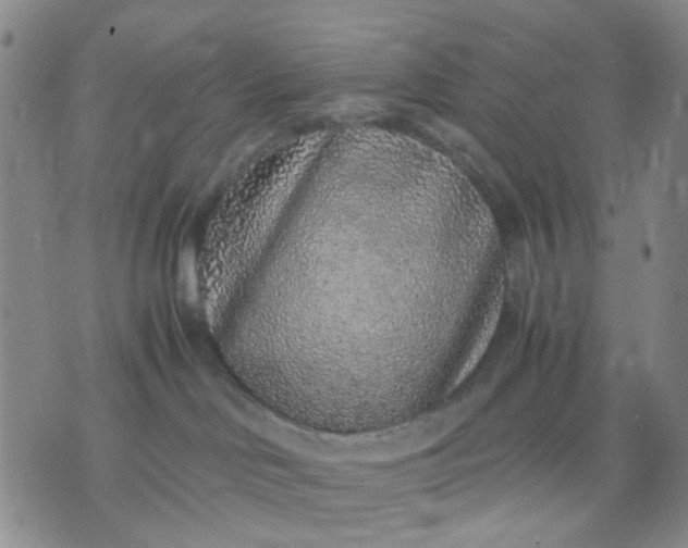 X0000071830046200607141711