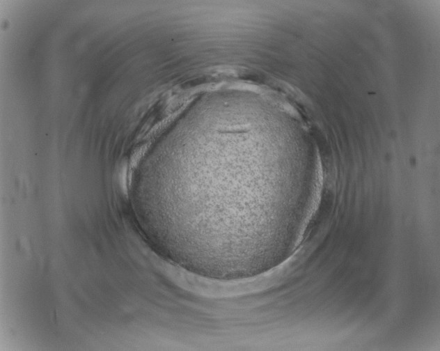 X0000071830047200607141711