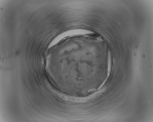 X0000071830048200607141711