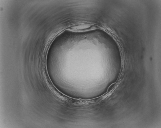 X0000071830049200607141710