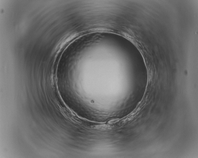 X0000071830050200607141710