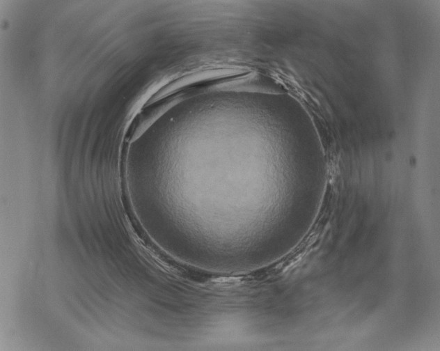 X0000071830052200607141710