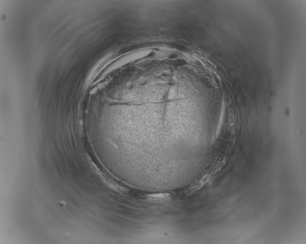 X0000071830053200607141710