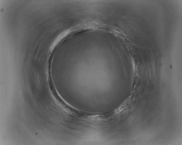 X0000071830054200607141710