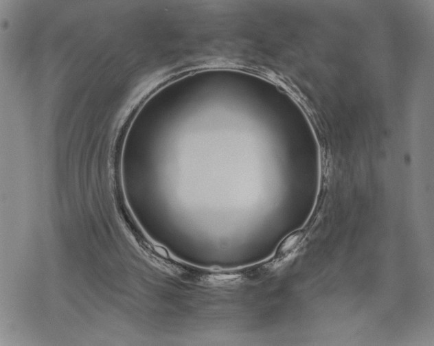 X0000071830055200607141710