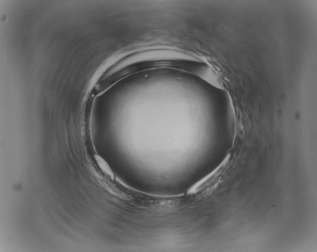 X0000071830056200607141710