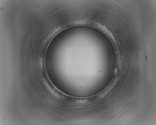 X0000071830057200607141710