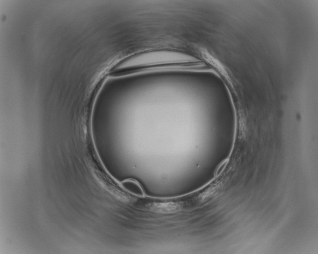 X0000071830059200607141710