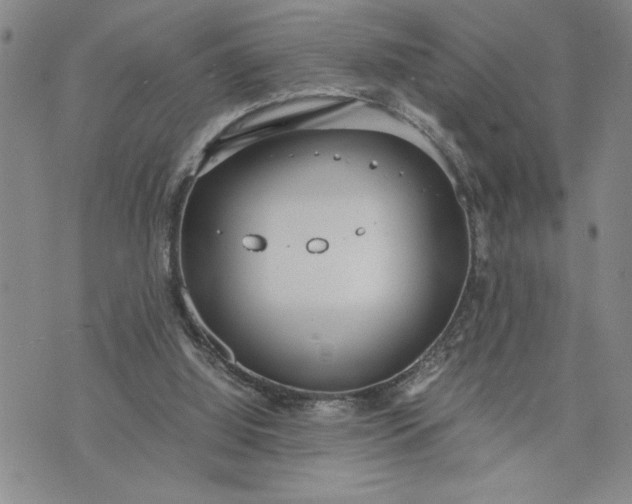 X0000071830060200607141710