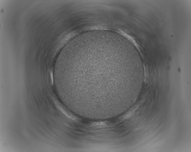 X0000071830061200607141710