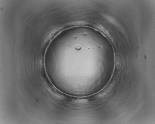 X0000071830063200607141710