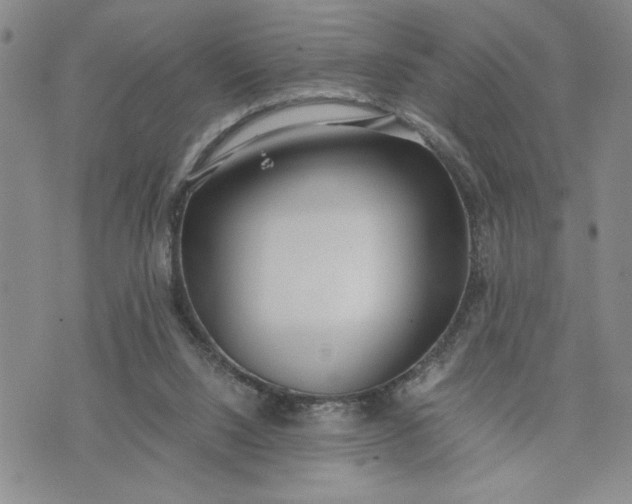 X0000071830064200607141710