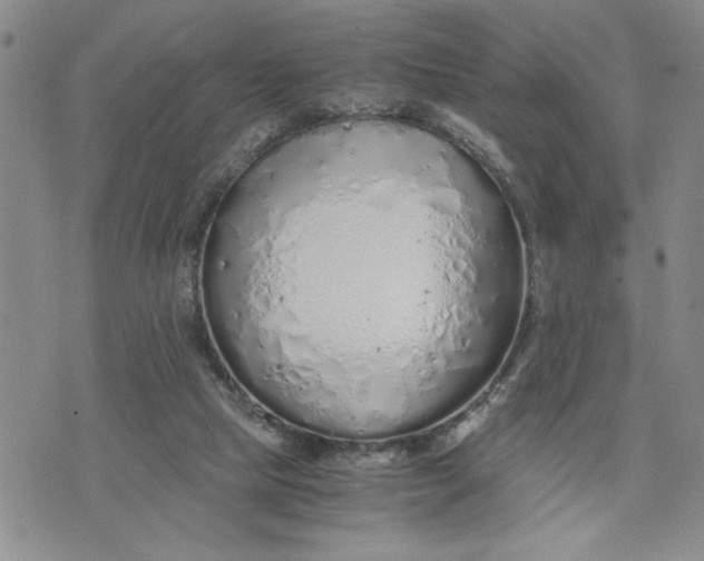 X0000071830065200607141710