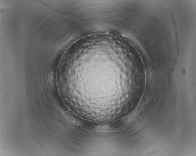 X0000071830066200607141710