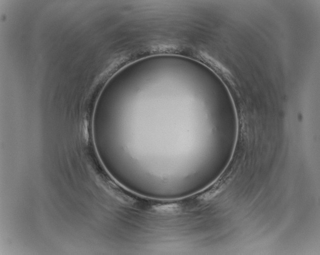 X0000071830067200607141710