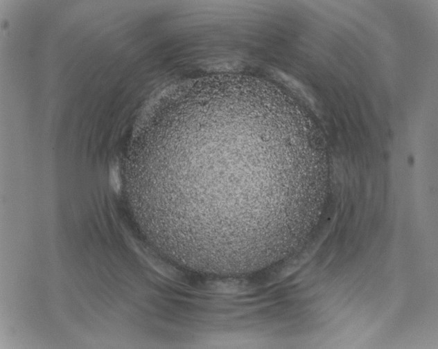 X0000071830069200607141710