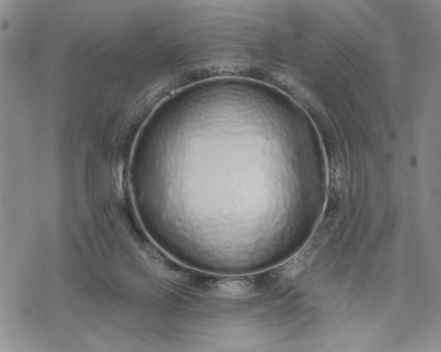 X0000071830070200607141710